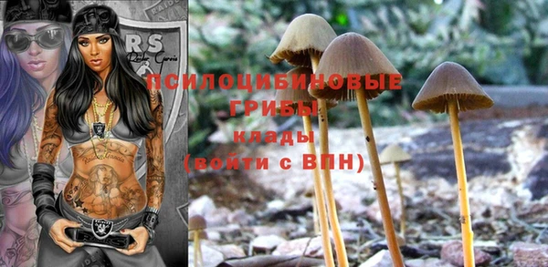стаф Карпинск