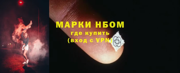 мяу мяу мука Инта